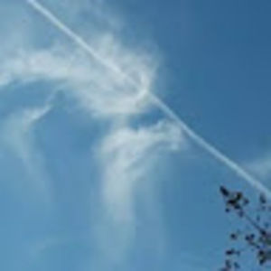 Meet your Posher, Lesemail